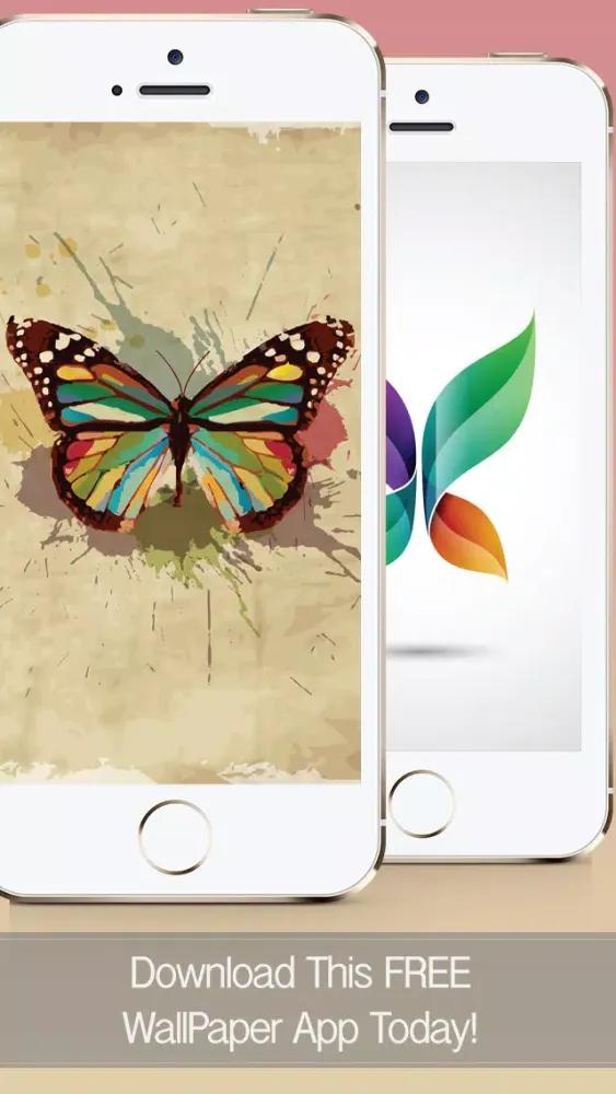 Butterfly Wallpapers, Backgrounds & Themes - Download Free HD Images of the Best Beautiful Butterflies You've Ever Seen! Screenshots