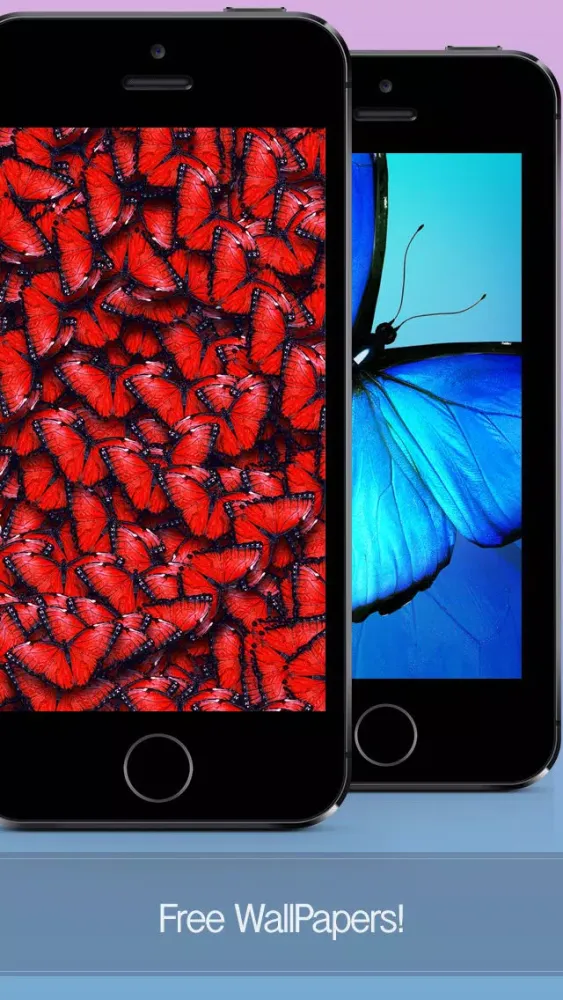 Butterfly Wallpapers, Backgrounds & Themes - Download Free HD Images of the Best Beautiful Butterflies You've Ever Seen! Screenshots