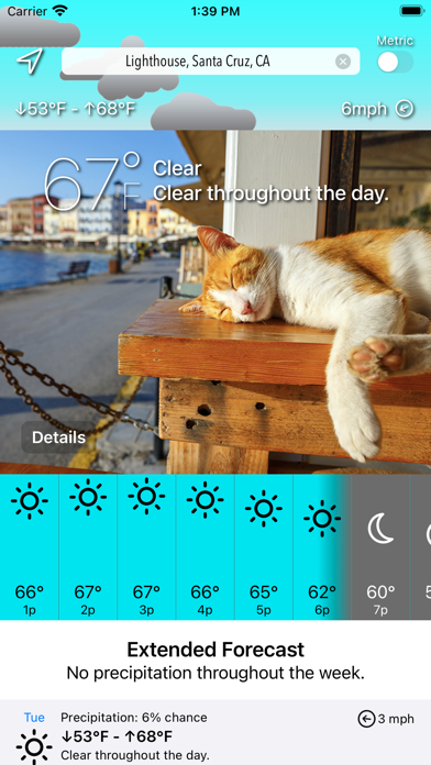 Скриншоты Sunkitty