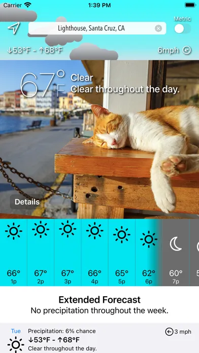 Sunkitty應用截圖