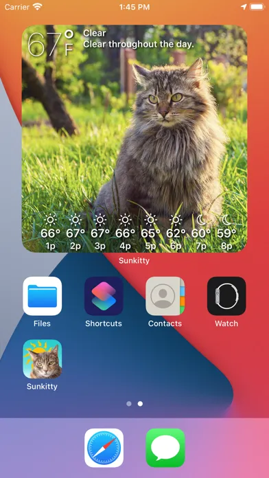 Sunkitty應用截圖