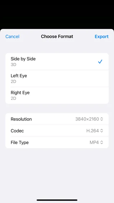Spatial Video Converter স্ক্রিনশট