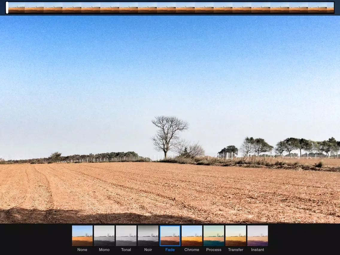 صور Camera Roll for iOS 8 iPad 
