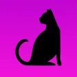 Cat Teaser- Confuse your Cat!