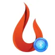 Source Pro Fireplace Remote