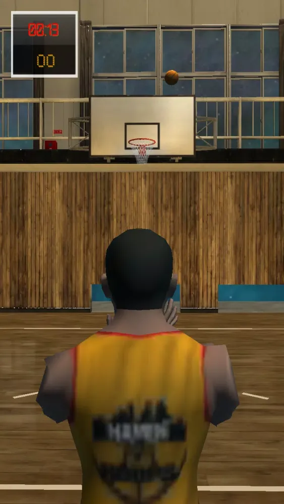 ภาพหน้าจอของ Haven 4 Hoops