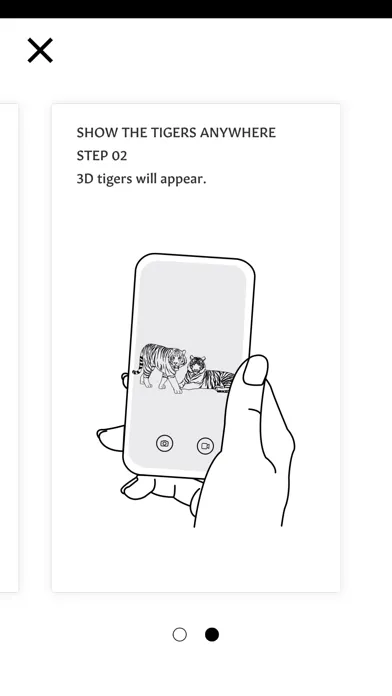 تصاویر KENZO Tiger