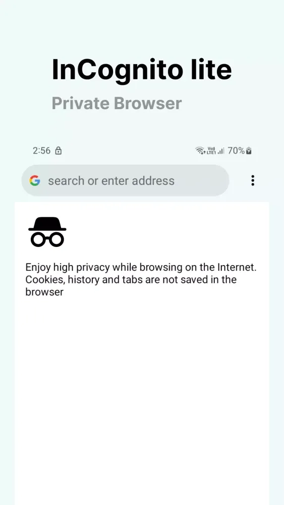 Incognito Private Web Browser應用截圖