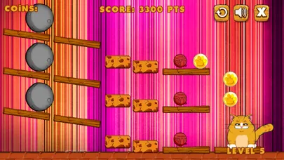 Capturas de tela do Best Funny New Playful Cat of Classic Favorite Games