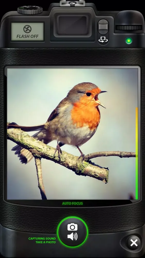 تصاویر Camera SX : Photo with Sound