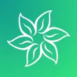 Fit Plants
