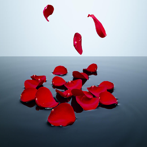 Ripple Rose Petals Ripple Rose Petals