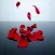 Ripple Rose Petals
