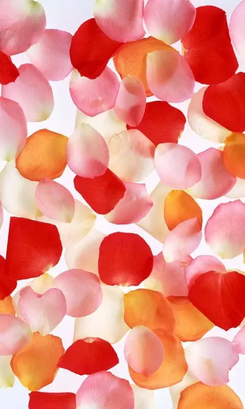 Ripple Rose Petals應用截圖