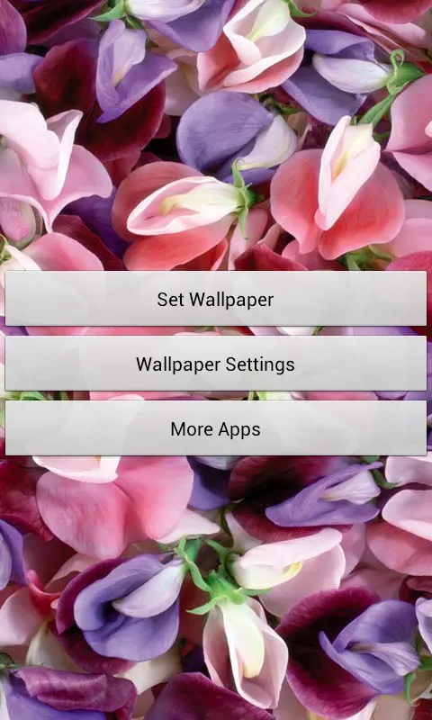 Ripple Rose Petals應用截圖
