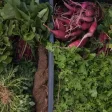Baltimore Farmers Markets - Organic And Fresh Food