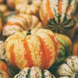 Missouri Farmers Markets - Fresh Organic Food Now