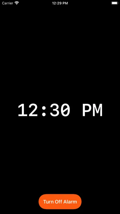 AlarmX Screenshots