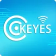 keyes link keyes link