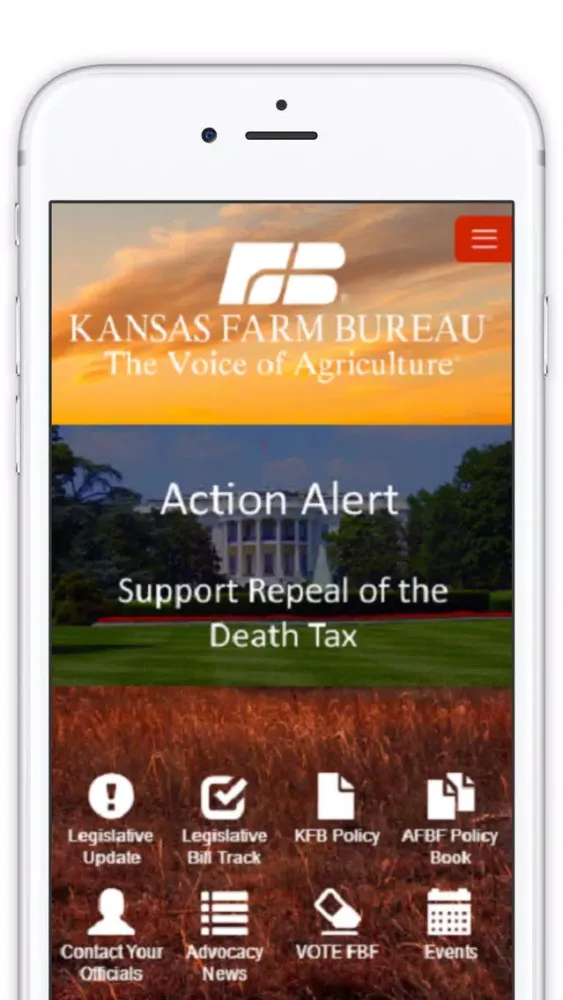 KFB Policy 스크린샷