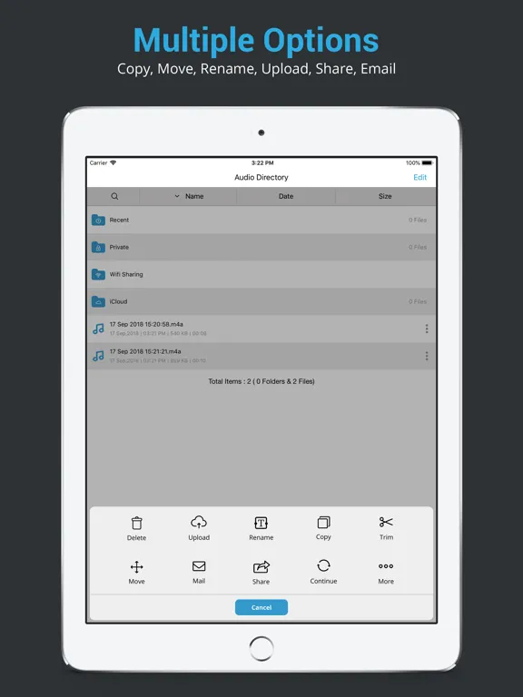 Audio Recorder HD & Voice Memo iPad  স্ক্রিনশট