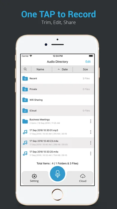 Audio Recorder HD & Voice Memo স্ক্রিনশট