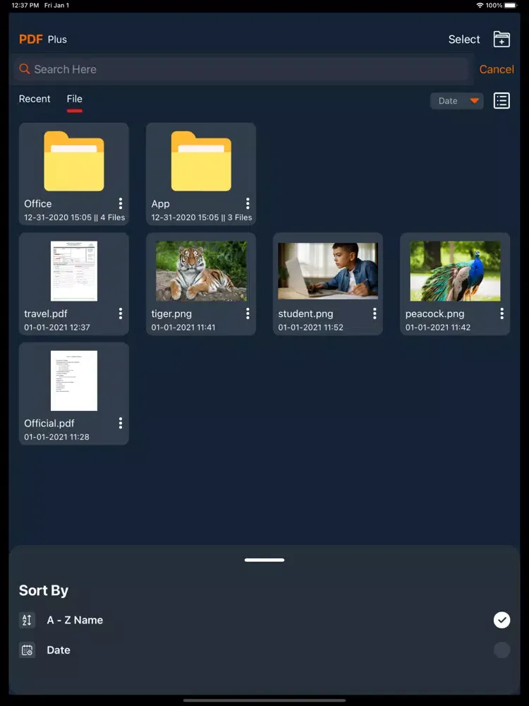 صور PDF Plus : PDF Reader & Editor iPad 