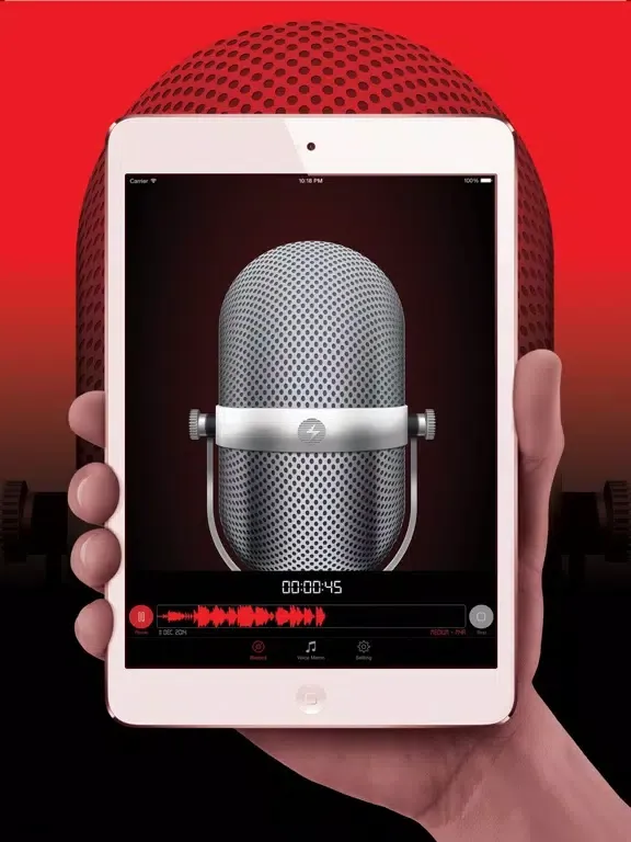Voice Recorder HD Pro iPad 應用截圖