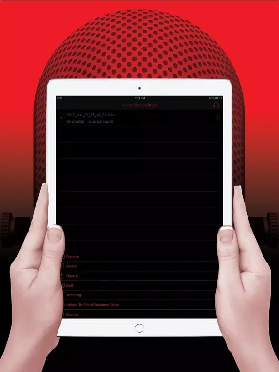 Voice Recorder HD Pro iPad 應用截圖
