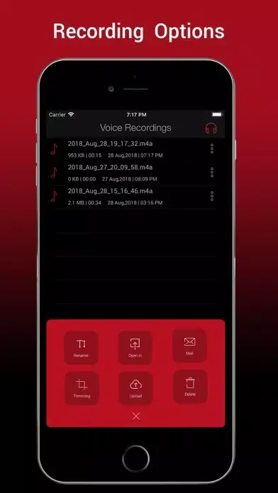 Voice Recorder HD Pro應用截圖