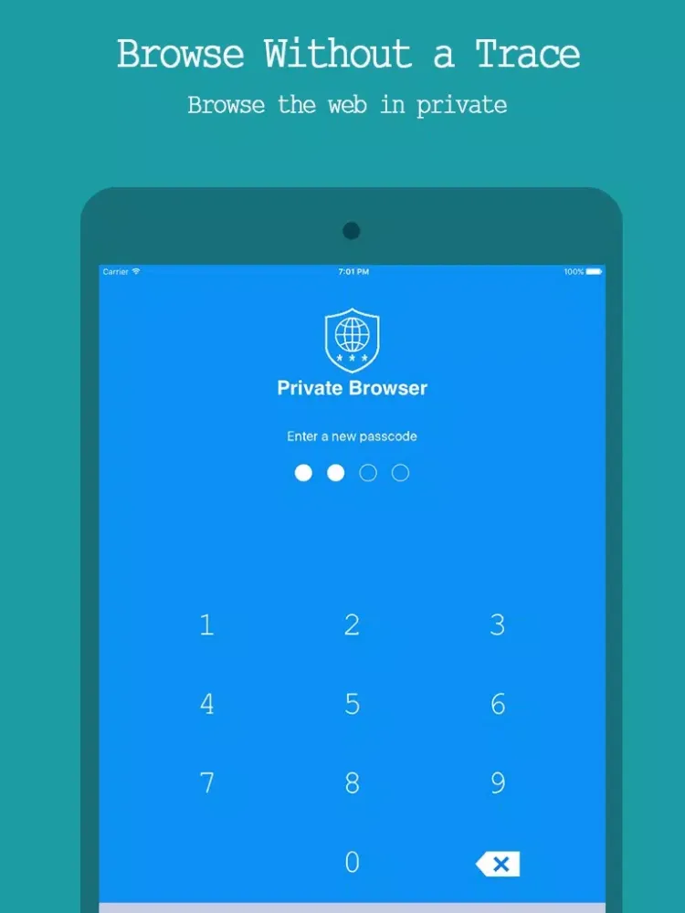 Best Private Browser Free - Incognito Web Browsing iPad  스크린샷