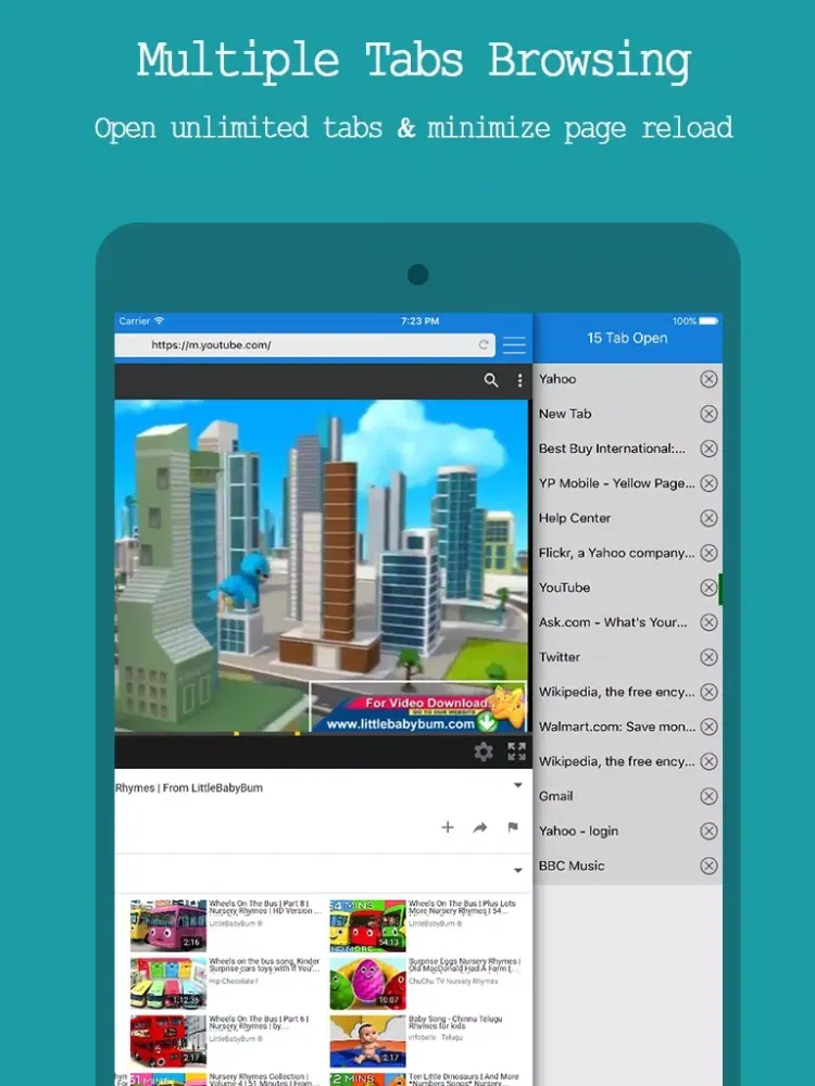 Best Private Browser Free - Incognito Web Browsing iPad  스크린샷