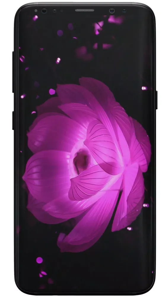 Captures d'écran de Rose Wallpapers