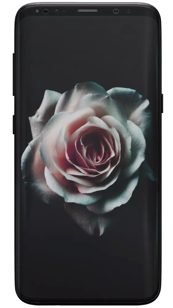 Captures d'écran de Rose Wallpapers