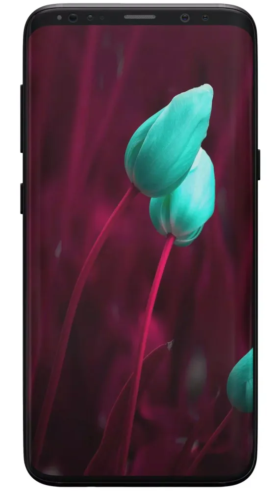 Captures d'écran de Rose Wallpapers