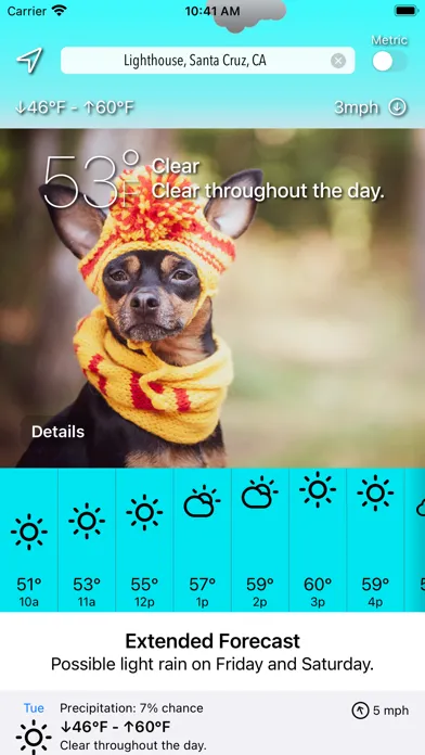 Sundoggy Screenshots