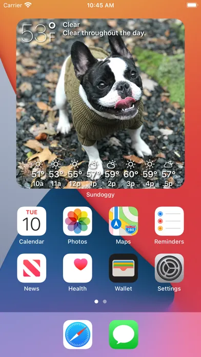 Sundoggy Screenshots