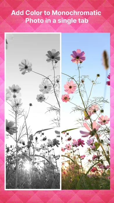 Black and White to Color Photo Screenshots