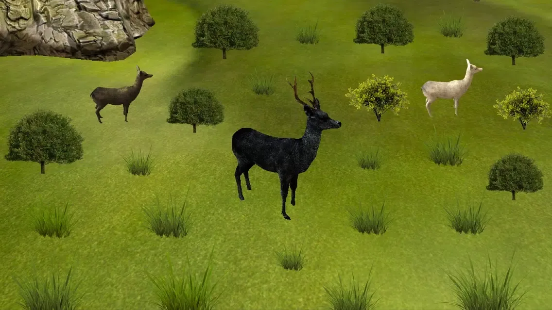 Deadly Sniper Hunting Wild Deer: Open Season Hunt应用截图