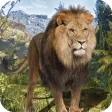 Extreme Forest Animal Hunting in Wildlife Pro 2017 Extreme Forest Animal Hunting in Wildlife Pro 2017