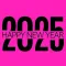Hot New Year 2025 Stickers