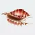 Seashells Ocean Stickers