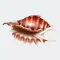 Seashells Ocean Stickers