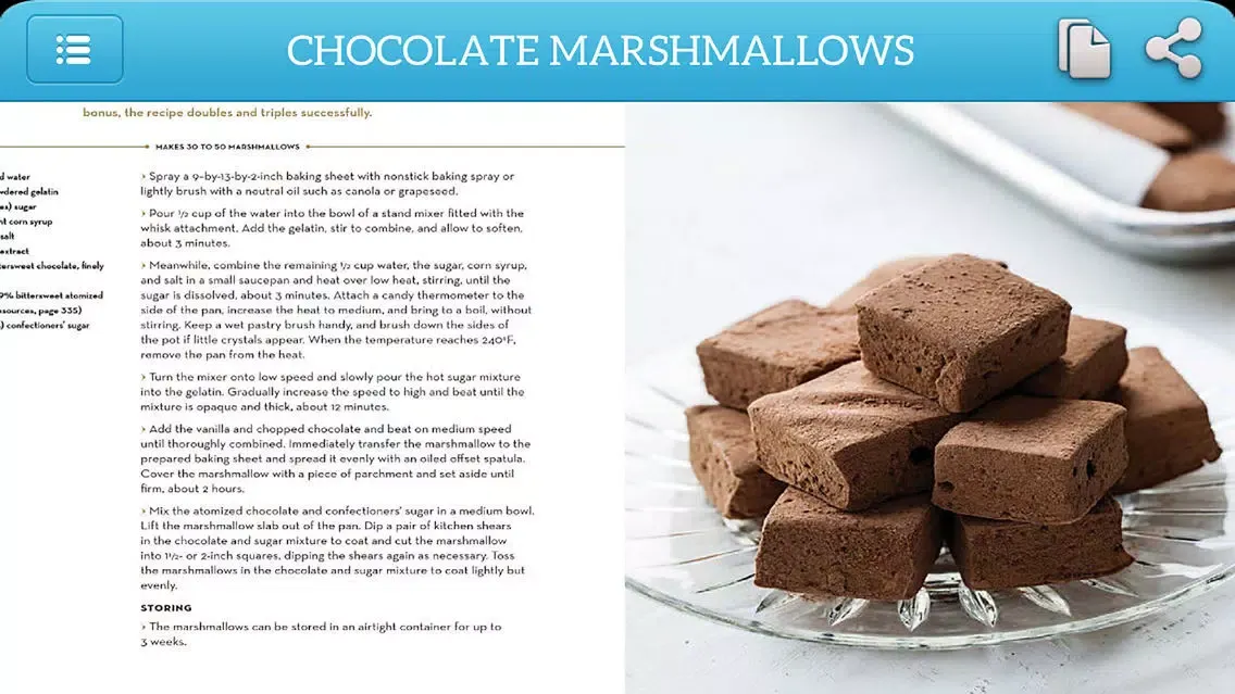 Dessert Recipes - Chocolates and Confections Ekran Görüntüleri