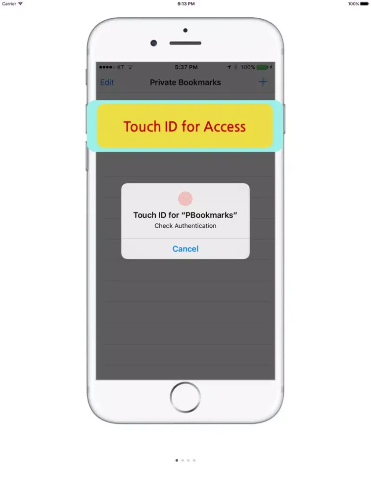 Capturas de tela do Private Bookmarks Lite - Manage Secret Bookmarks iPad 