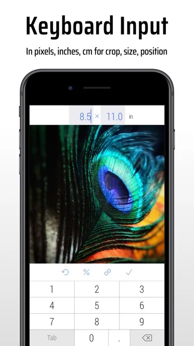 CropSize: Image Resizer Editor Screenshots