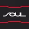 PROJECT SOUL
