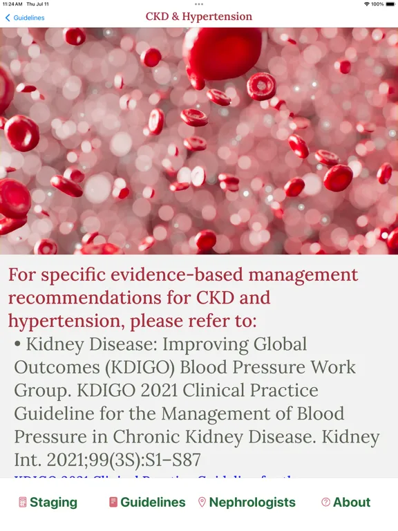 Tangkapan layar CKD Management by PCPs iPad 