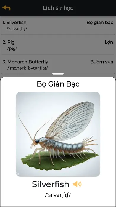 iFlashCards スクリーンショット