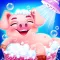 Baby Pig Care - Pet Care